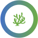 BlockChain Dltledger